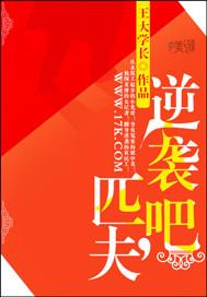 匹夫的逆袭全本TxT