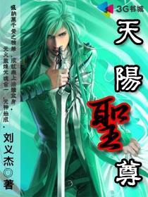 天阳圣尊748