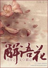 清穿之直播解卦日常