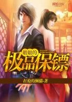 极品保镖全文免费阅读