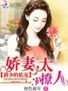 爵少的私宠娇妻太撩人慕逸尘夏晚晴