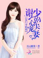 豪门少奶奶谢少的心尖宠妻全文免费