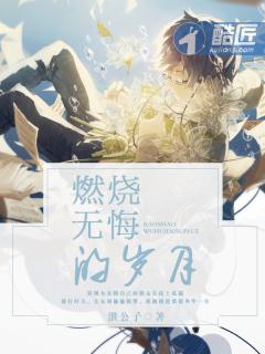 燃烧了岁月什么意思
