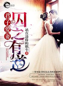 君子爱妻囚之有道 作者站在边缘的蜗牛讲什么