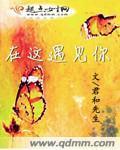 这里遇见你