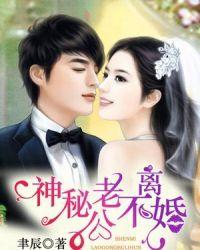 神秘老公不离婚安久免费阅读