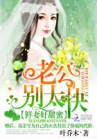 老公别