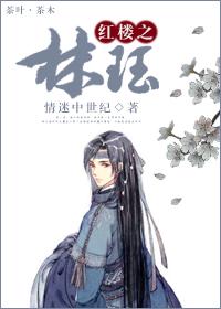 红楼之林珏TXT