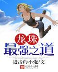 龙珠之最强之战